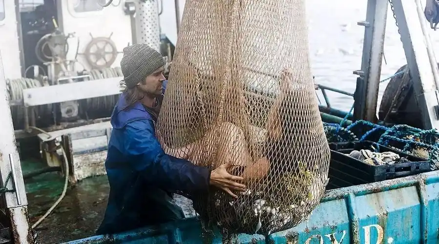 渔夫捞起一条美人鱼,直接带回家当媳妇,把镇里人羡慕坏了