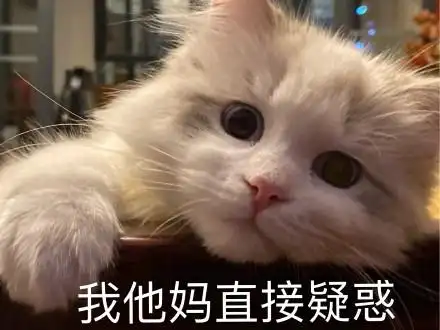 我他妈直接疑惑 猫咪表情包_直接_疑惑_猫咪表情