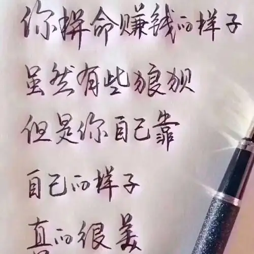 你拼命赚钱的样子真的很美