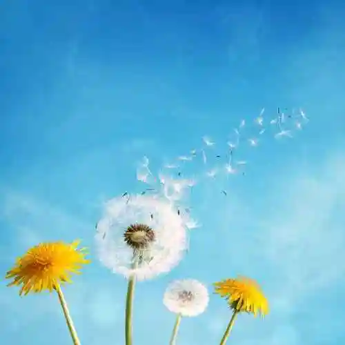 《童年》阅读有感——城关小学六(4)班王昱