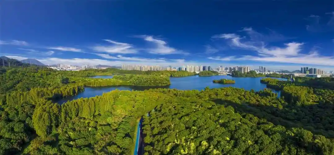 41件作品获奖山海连城美丽深圳摄影大赛获奖名单揭晓