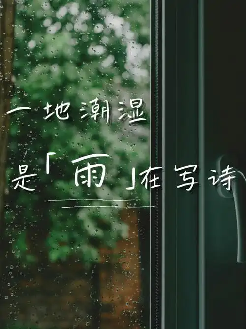 是『雨』在写诗下雨天7495宜欣赏这些带着雨的气息的文字