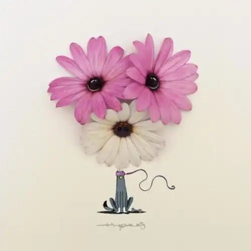 可爱创意的微信头像