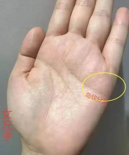 原创手相女人玉柱m纹注定不受穷婚后发婆家
