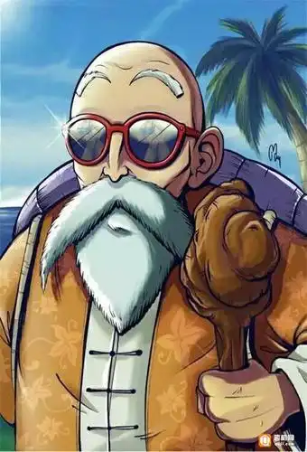 龟仙人 - 堆糖,美图壁纸兴趣社区