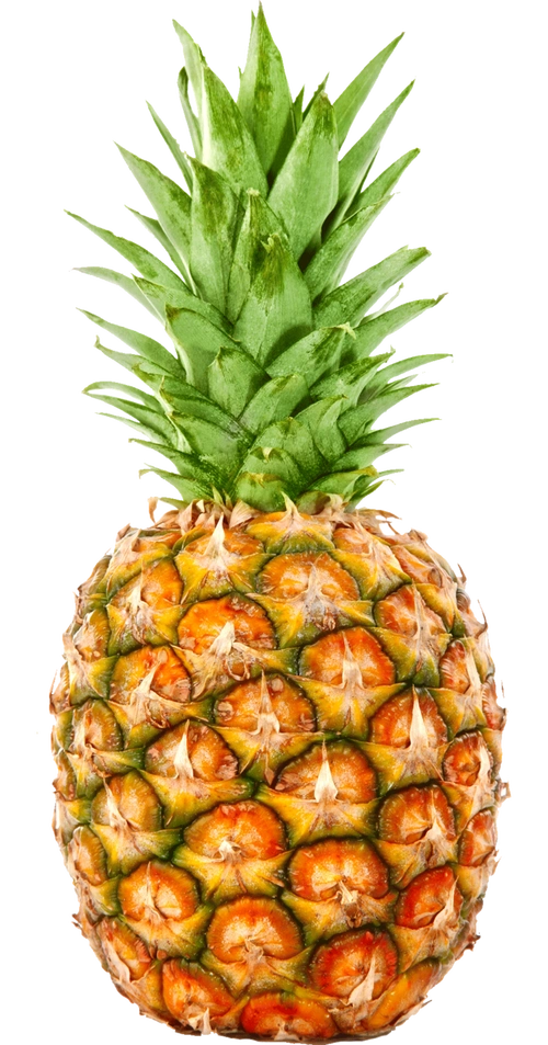 蔬菜 水果 食物 俯视图