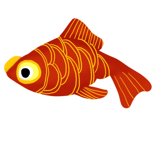 红色小金鱼手绘插画图片