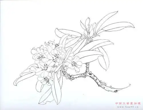 工笔画竹子高清图片竹子工笔画画法竹子工笔画图片工笔竹子白描图片