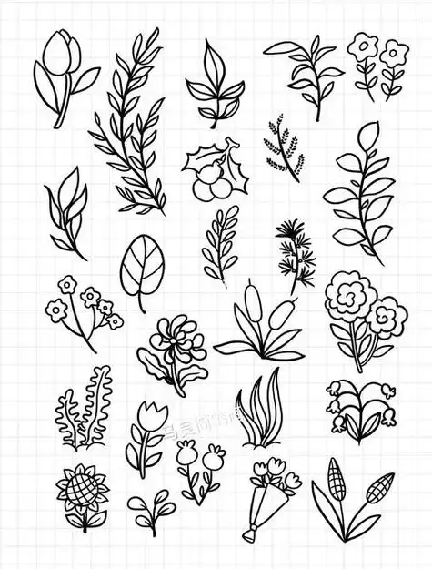 植物(简笔画)_简笔画_手绘_文化_绘画粉嫩的百合花简笔画-儿童简笔画