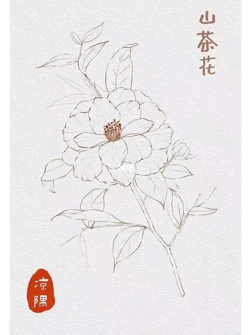 线稿  #黑白线描  #临摹线稿  #临摹  #绘画日常  #线描花卉