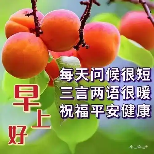 最新版最漂亮的早上好短语句子,早上好吉祥图_祝福_生活_身体