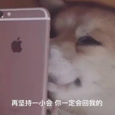 每天等你的消息