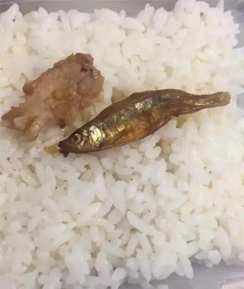 一张图证明你有多「穷」?请珍惜眼前,少一些抱怨吧!_网易订阅