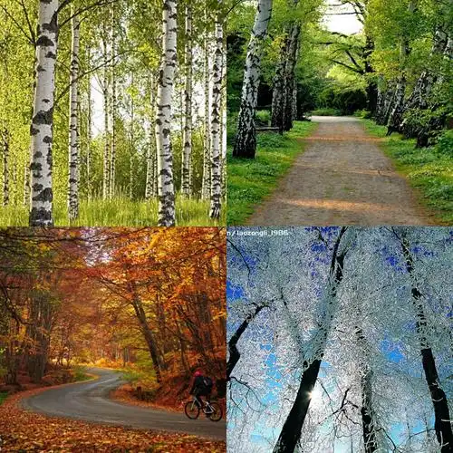 课程设计: 接触了解水粉画的特性 了解冷暖色的知识 感受四季色彩变化