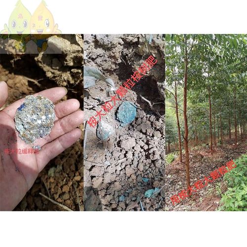 桉树专用肥桉树专用复合肥长效桉大粒大力丸果树桉树八角肥缓释控释肥