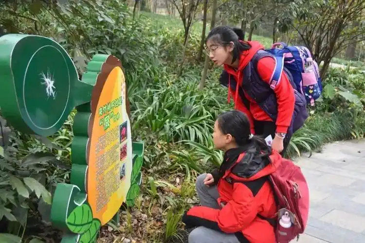 绿色研学旅行绿植和熊猫很配哦