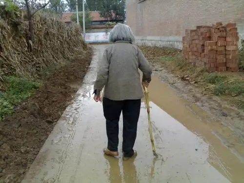 背影(四) 母亲的背影