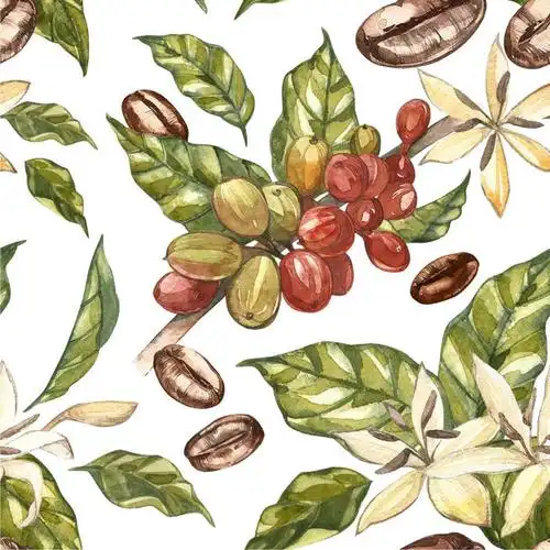 咖啡 咖啡豆插画素材_图片id:307290805