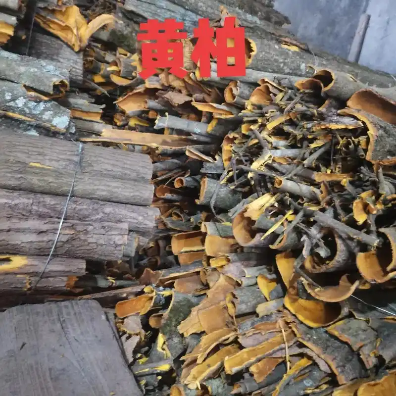 贵州中药材 我在产地等你,你在哪?#黄柏 #通草 #夜交藤 - 抖音