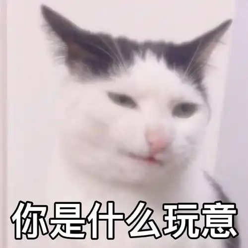 你是什么玩意什么玩意表情