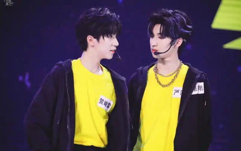 【翔霖】严浩翔贺峻霖同人文改编|《性浓于血》|结局he