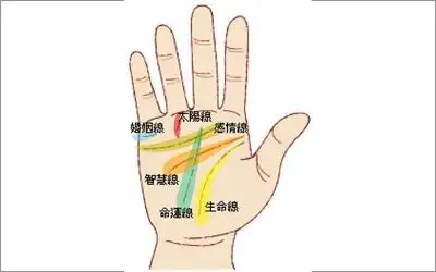 揭秘手上有三条婚姻线代表什么