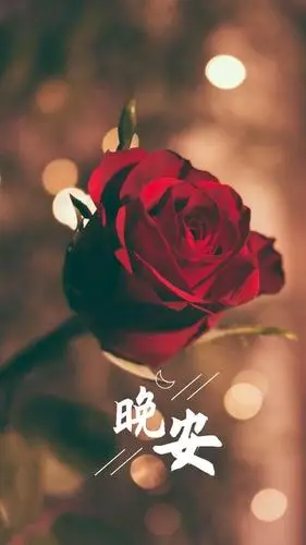 周末朋友圈晚安温馨图片句子,祝你心情明媚