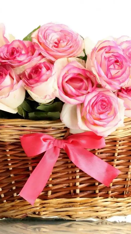 养眼唯美植物玫瑰花,高清图片,手机锁屏桌面-壁纸族