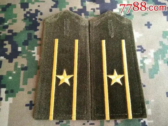 属性: 肩章,解放军,90-99年,布质,,,,,,,, 简介: 陆软少校3号22厂00年
