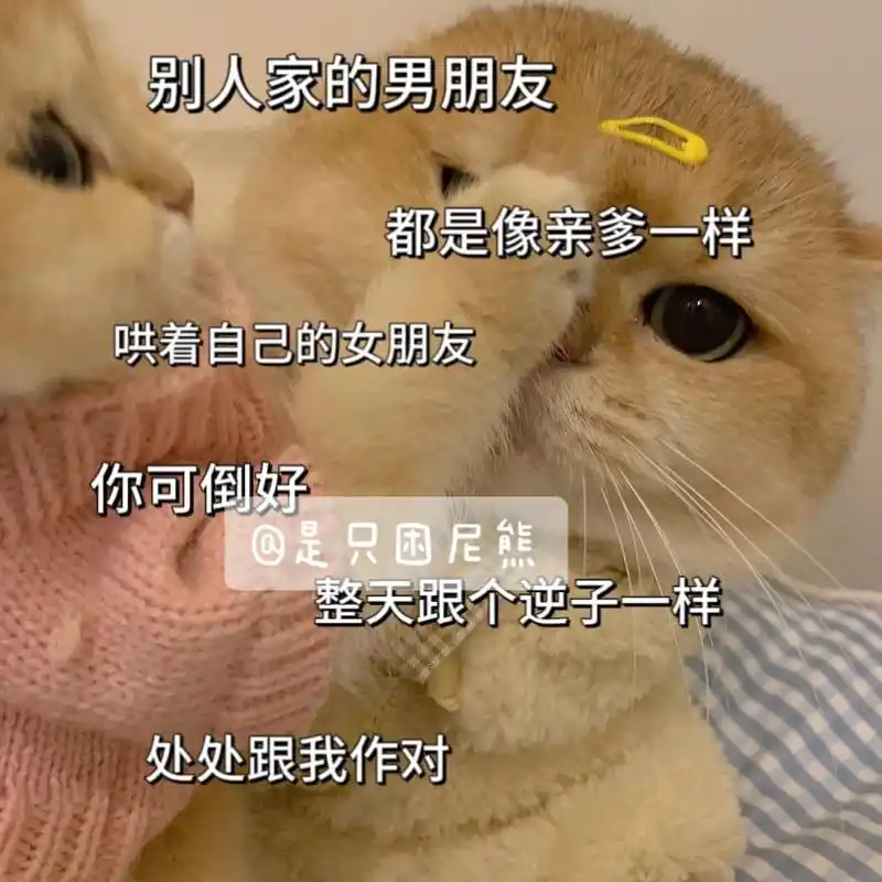 猫咪表情包 #发给对象表情包 #情侣日常 - 抖音