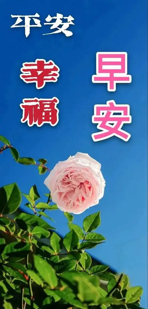 早上好表情包早安心语唯美配图早上好问候专辑