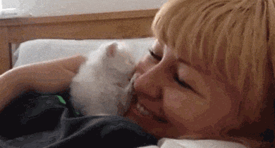 猫咪gif女人gif亲亲gif可爱gif