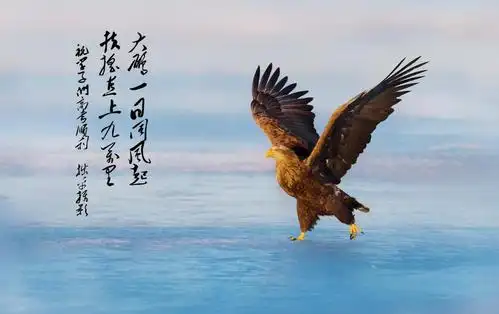 大鹏展翅图为高考学子加油!