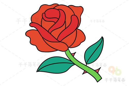 玫瑰花简笔画教程 简单易学