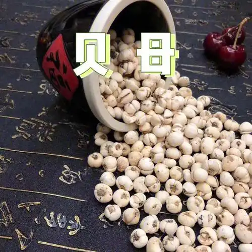 质量又次之————————————————————92川贝母功效