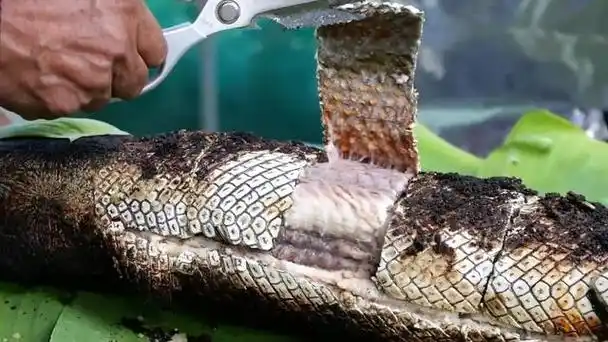 在泰国吃过这样烧烤的大雀鳝没有?