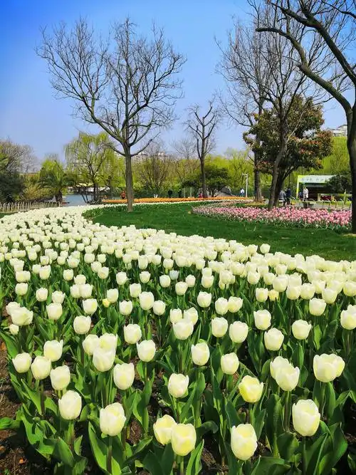 上海市静安区大宁公园