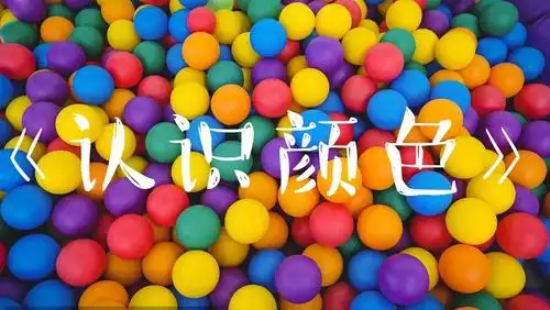 托二班科学领域活动《认识颜色》