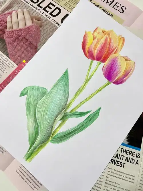 彩铅|郁金香93|附步骤图色号