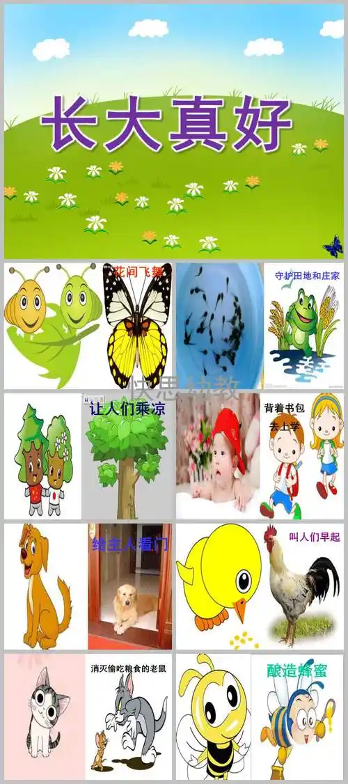 大班语言长大真好ppt课件教案
