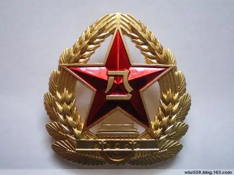 用料,大,小帽徽为锌合 金 , 贝雷帽帽徽为高分子材料,作训帽帽徽为