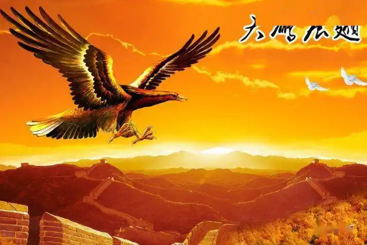 中老年头像大全高清大鹏展翅大展宏图的微信头像壁纸