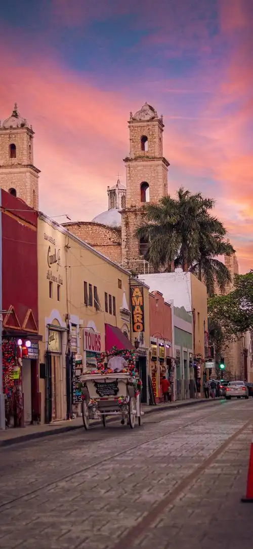 手机壁纸:高清绝美,每一张都很惊艳「50张」