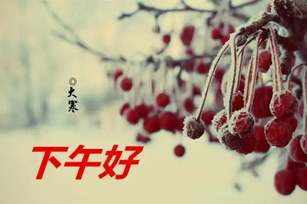 下午好英文下午好英文下午好英文