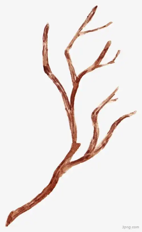 卡通手绘树枝png素材透明免抠图片-卡通手绘-三元素3png.com