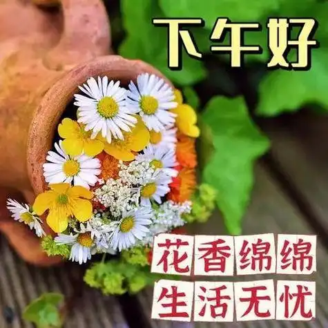 下午好图片大全下午好问候下午好祝福下午开心快乐