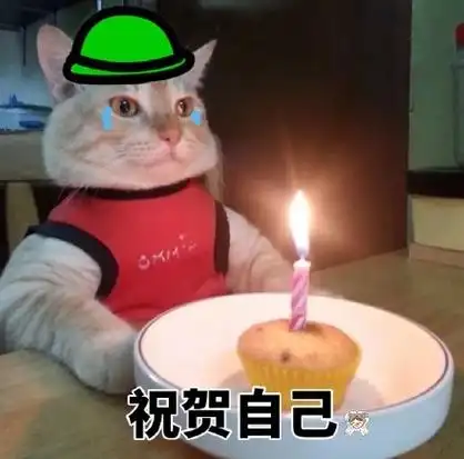 猫咪独自过生日系列【金馆长表情包】