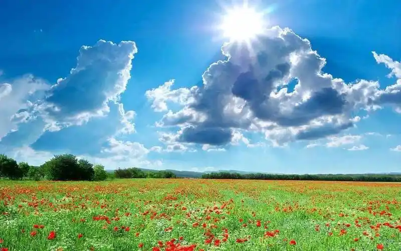 不管是阳光灿烂,还是风云聚散,一份好心情,是人生唯一珍贵的财富.