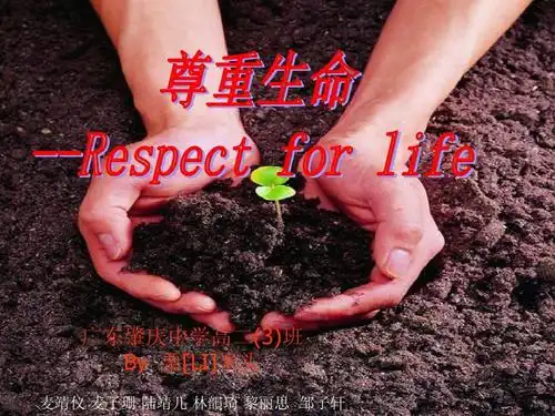 高中学生研究性学习成果展示(126):尊重生命