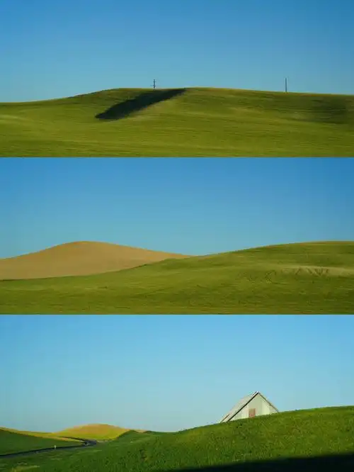 华州麦田thepalouse帕卢斯麦田